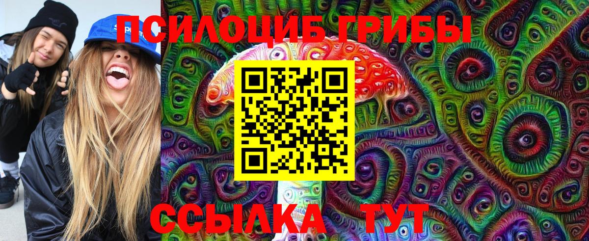 Долгопрудный  Галлюциногенные грибы GOLDEN TEACHER  Вход с VPN 