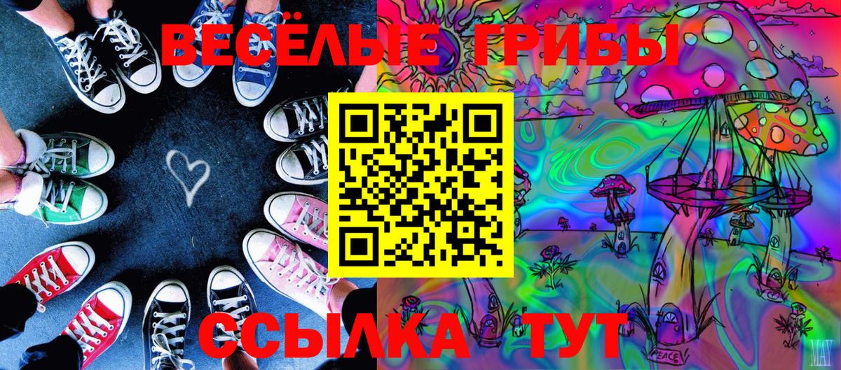 Галлюциногенные грибы Magic Shrooms Долгопрудный